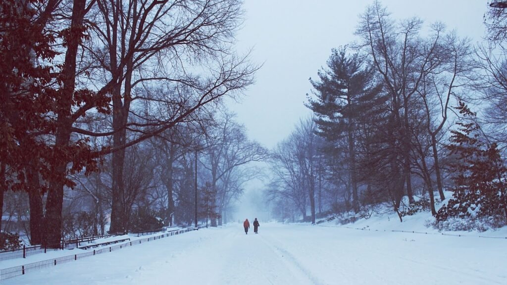 anniversary celebration and nature walks