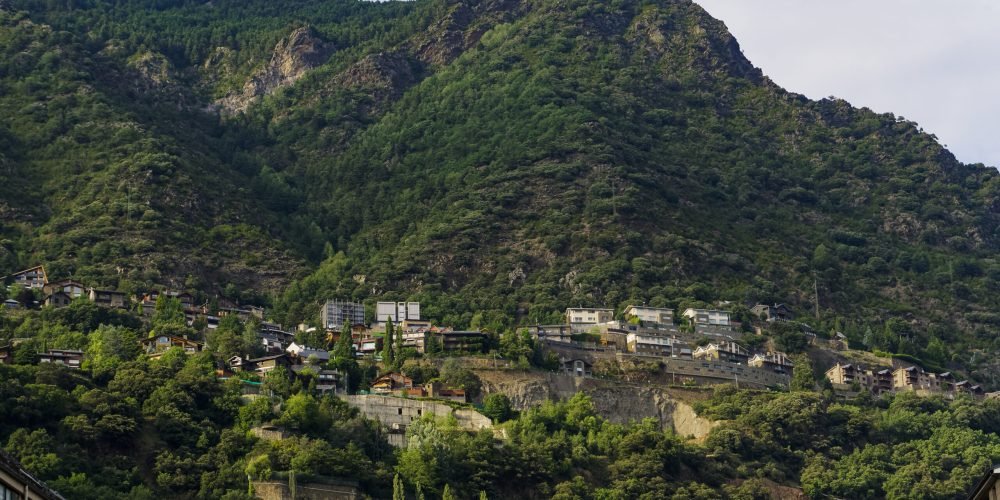 Best Event Planners in Muree